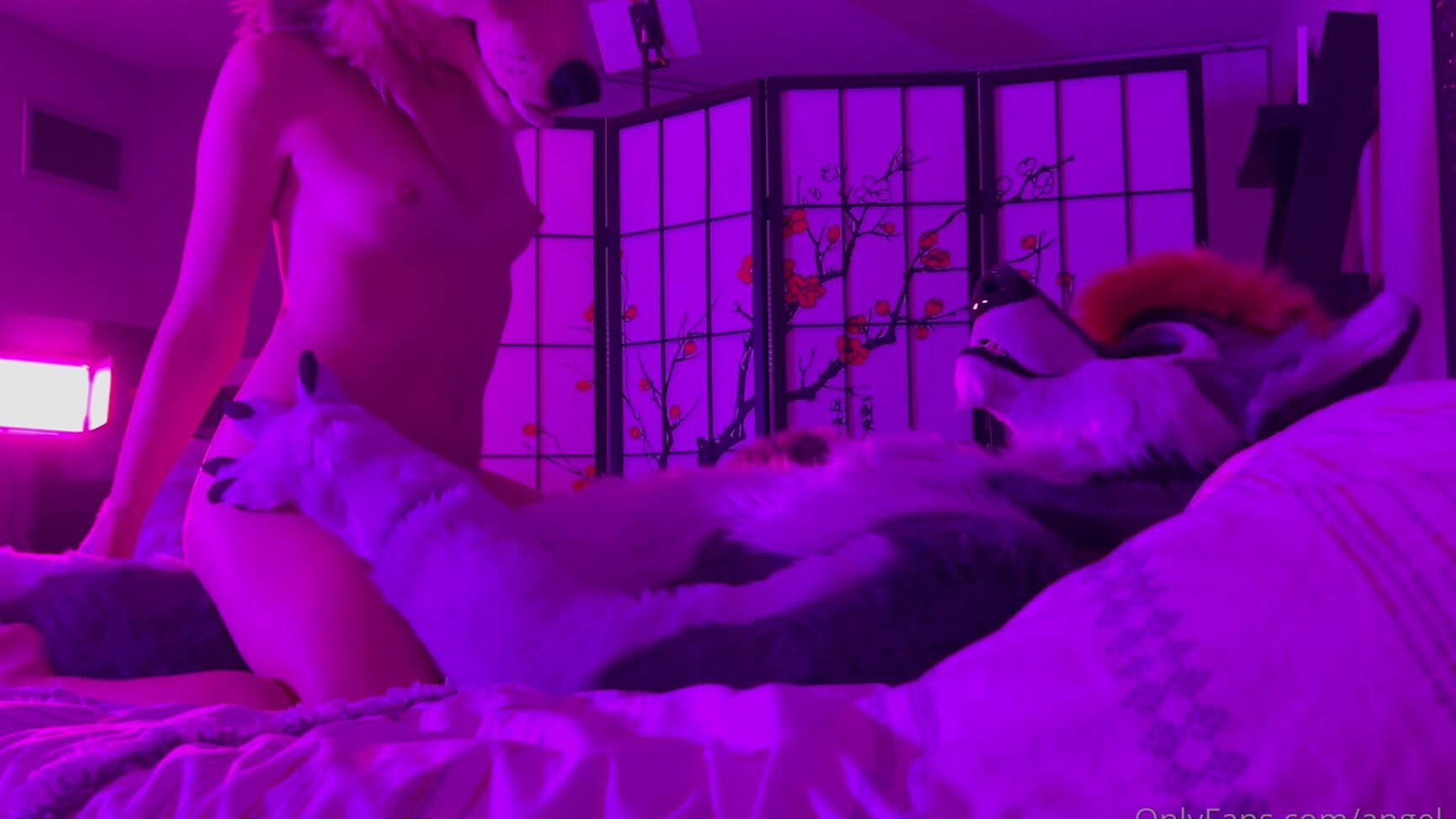 Angel Pups 426698365 This Pup Has Been In Heat So Cock Hungry 01 3C99226C 250E 4F98 95A5 97Aa0E4Fe116