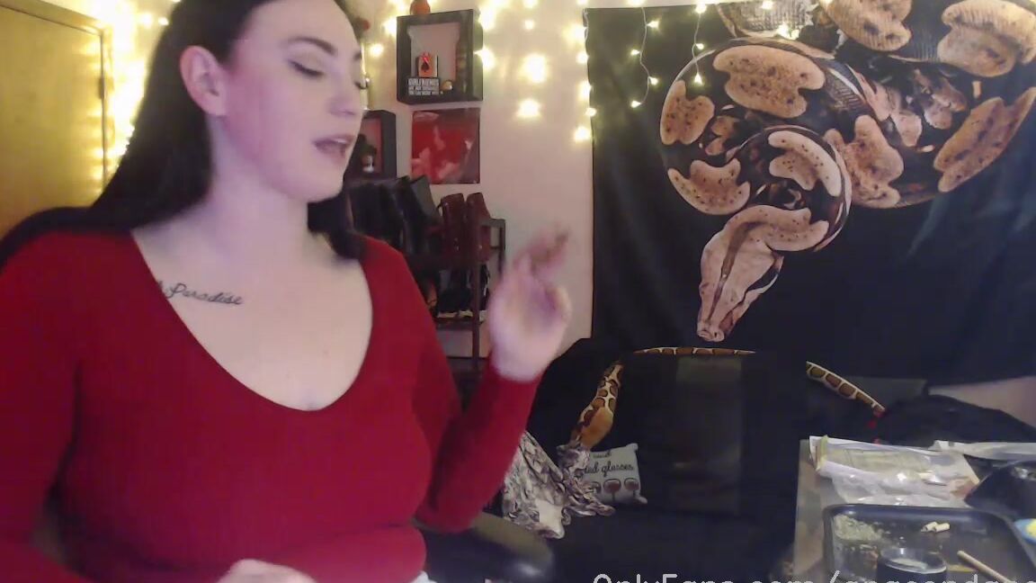 Anacondanoire Stream Started At Pm