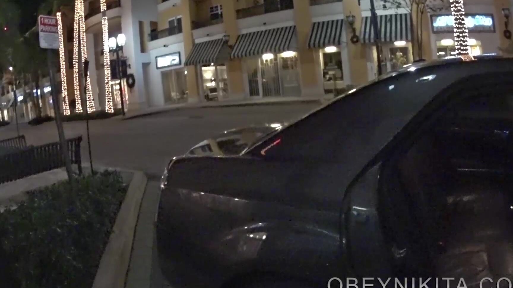 Mistressnikita Night Driver Femdom