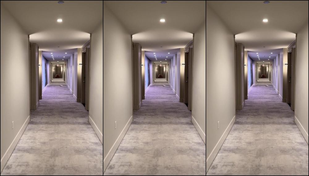 Peachdumpling1 0Hyjfpllx4Kg41C75Ov6G Source