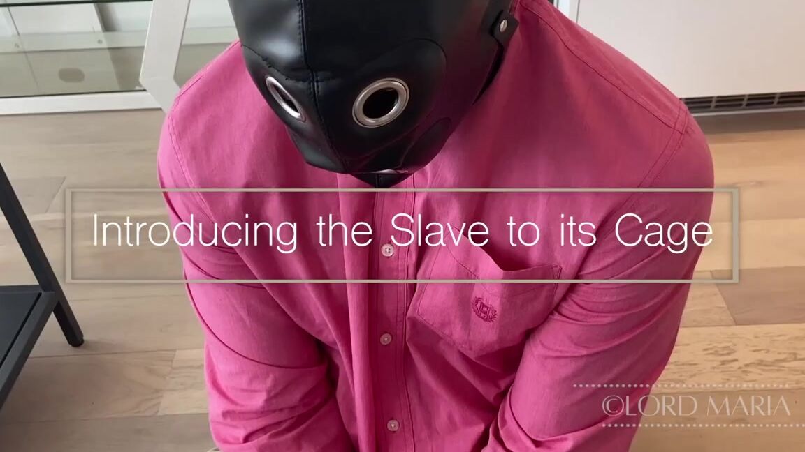 Lord Goddess Maria Onlyfans This Afternoon Was Such A Mindfuck For This Beta Because I Had A Very Special Present Ready For It 1P