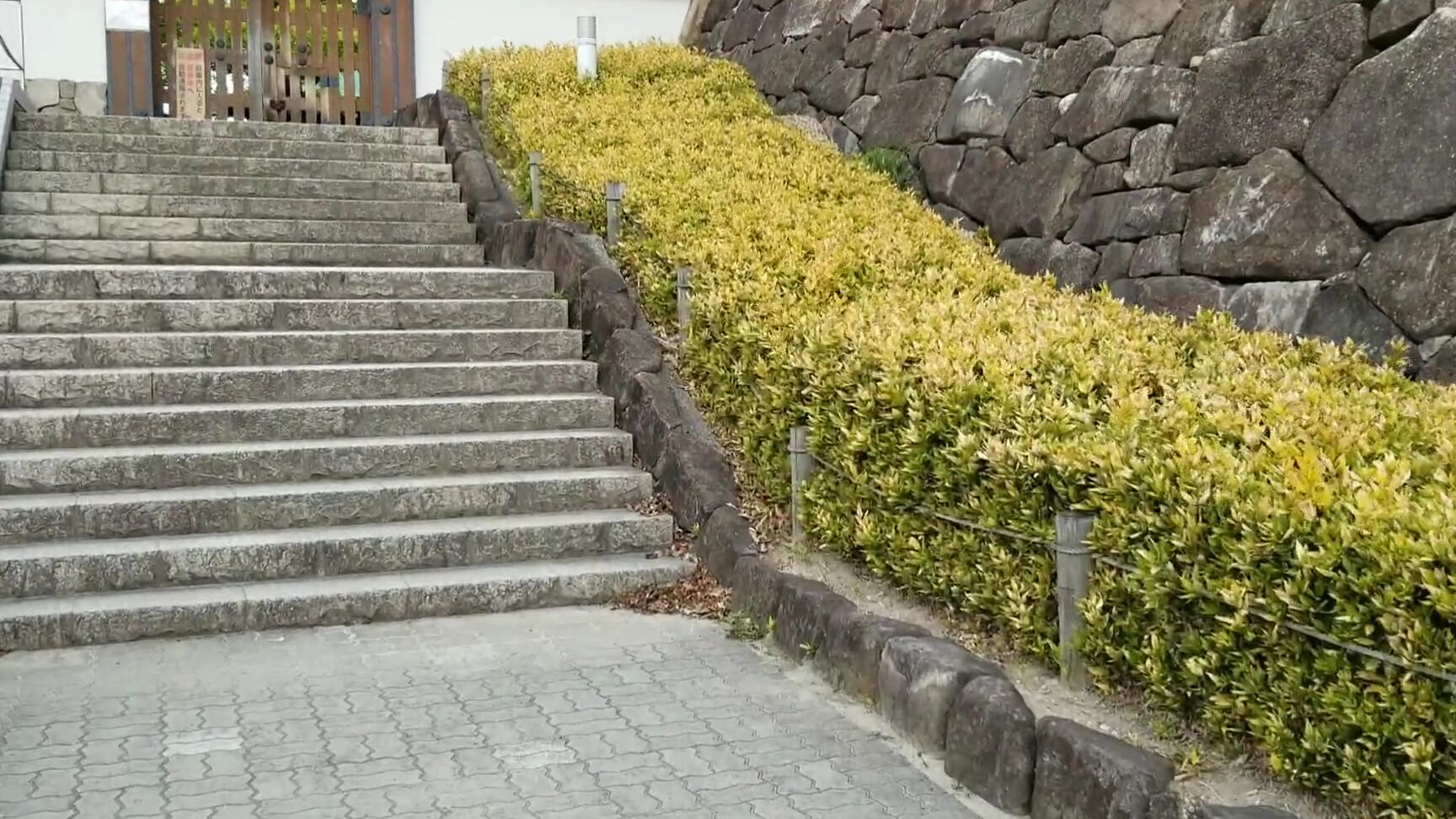 kokobutter-08-05-2020-296203683-master-need-new-gimbal-please-tipping-the-hell-out-of-this-video-for-me.-we-were-set-to-