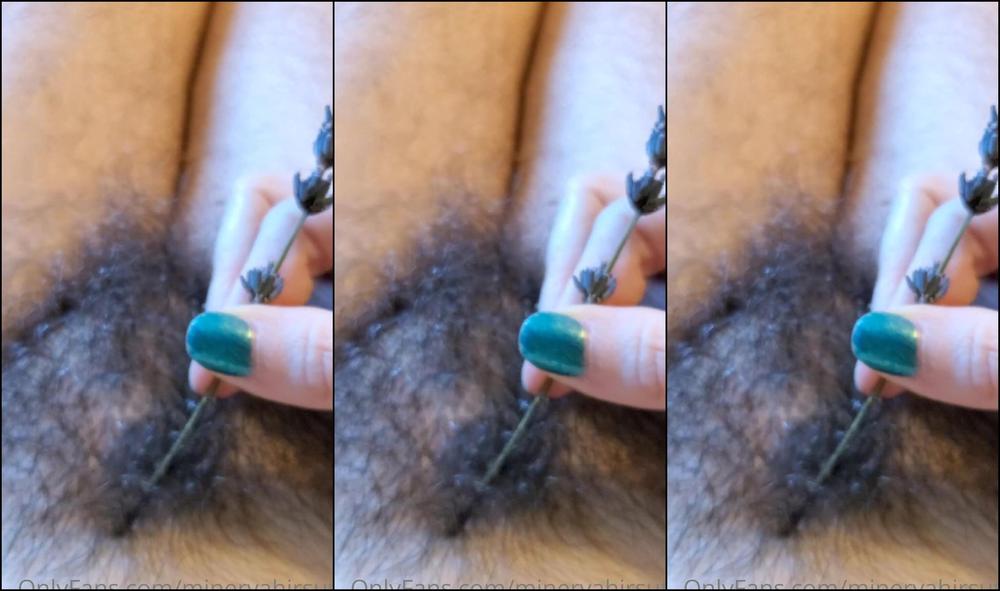 Minervahirsute Soft Combing With Lavender Feeling So Much Gratitude And Heart Overflows Today Grate