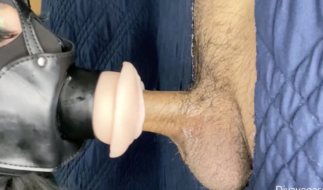 Divavegasgh Inch Hung Persian Gets Pussymouth