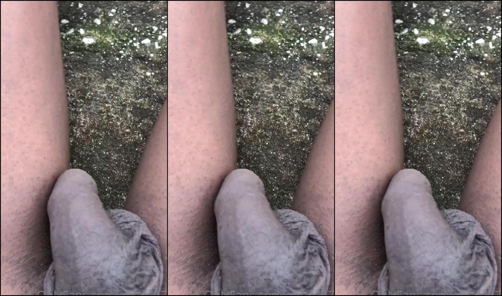 Publicprincess Taking My Dog For A Walk