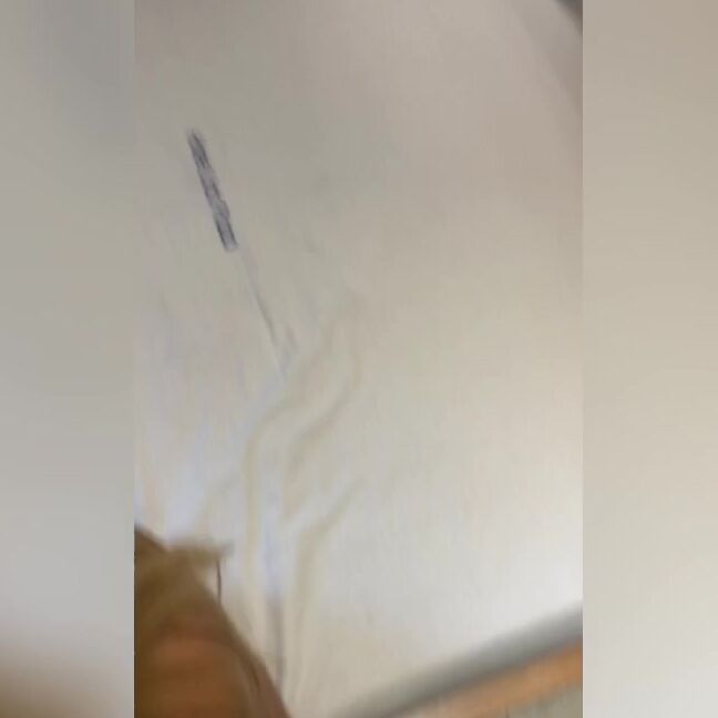 Black Cock,Blonde,Blow Jobs,Latina,Tattoos clarkes boutaine never knew what to expect with bianca i ManyVids