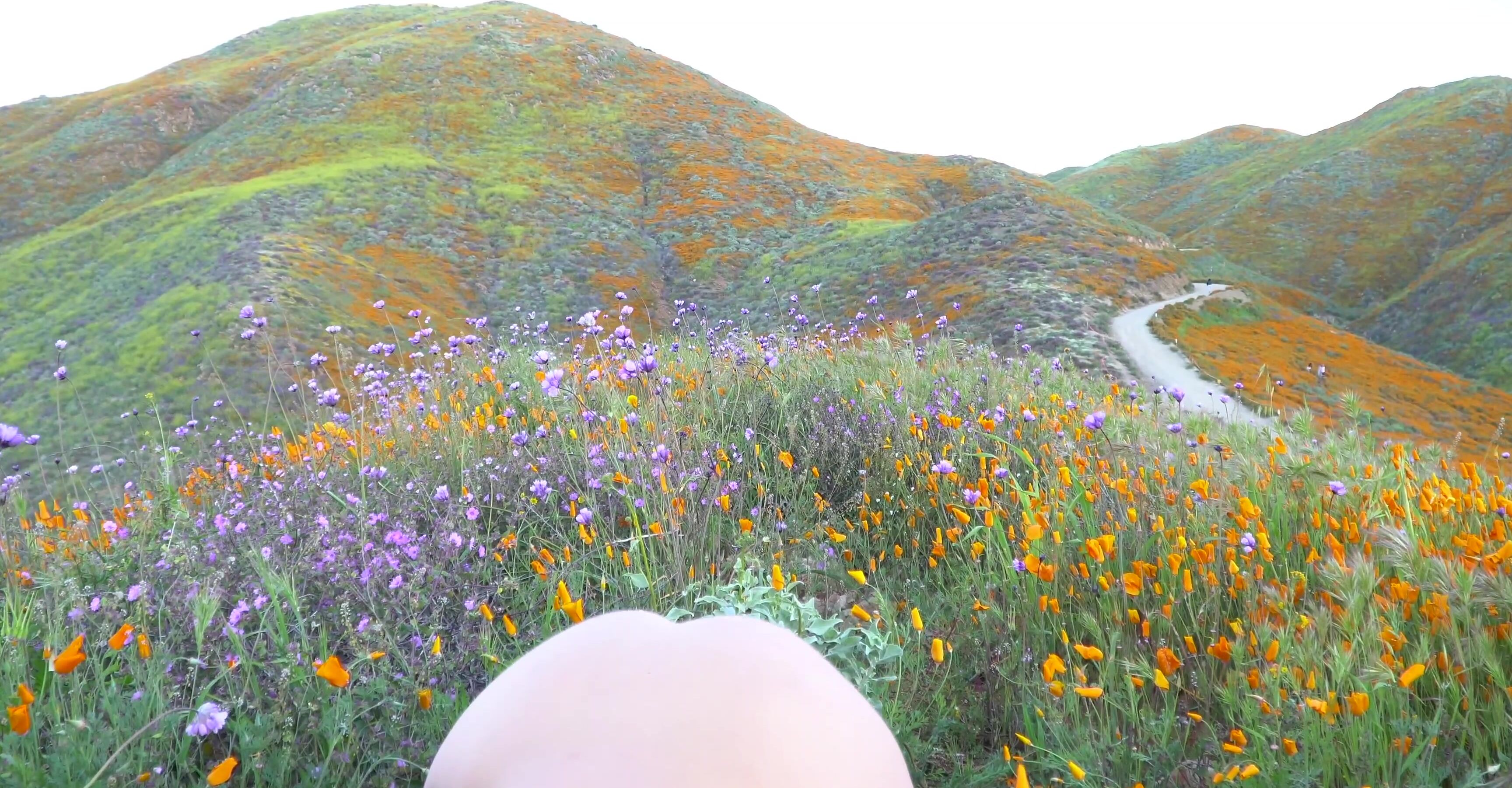 Jackie Ohh Jackie Ohh Gives Sloppy Bj Outdoors Manyvids