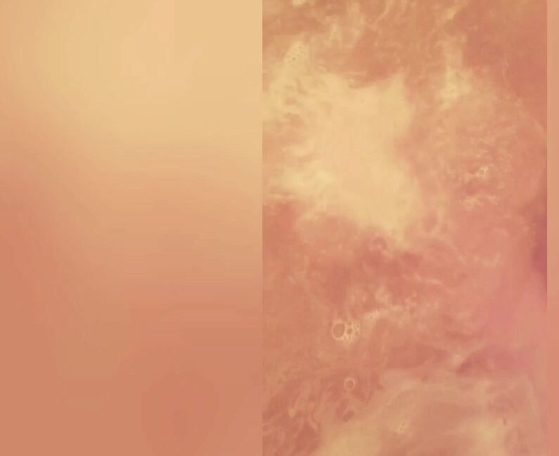 Chasethesakura K Twitter Followers Video Manyvids