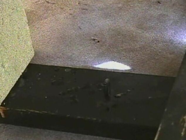 BDSM KISS-23 - Compromising Positions Close-Up Concepts