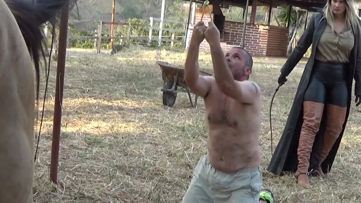 Ghrfan Onlyfans The Elh Realm Will Return Soon The Exquisite And Feared Sound Of The Equestrian Latin Huntresses