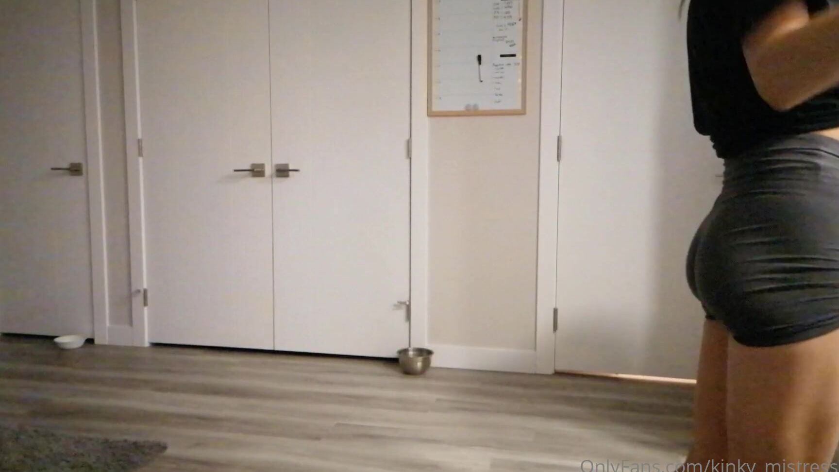 Kinky Mistress Full Length New Video