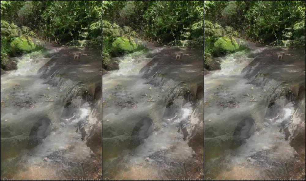 Naomiwildman I Ve Spent The Last Few Days Reflecting On My Plant Medicine Experience And Integrating