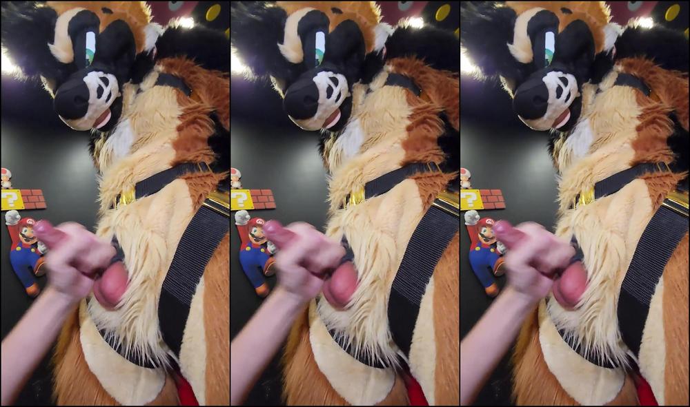 Palacewolf 0Hxfj5Eoxqzqlevsejslx 1920