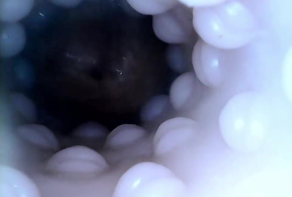 Trans Girl using Fleshlight, POV Cum_Harlo_Salem PornHubPremium