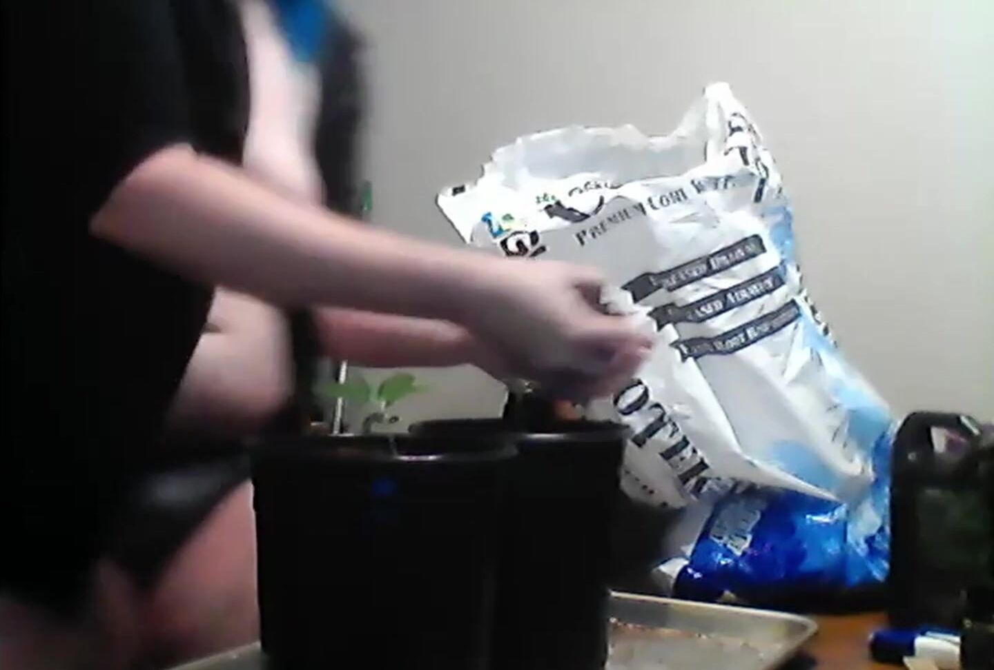 "Mary Blue" Big Boobs, Boobs, Milf, Stoner, Stoner Chick, Daily Routine, Big Tits, Big Tits Milf, House Chores, Housewife, Mom, Panties, Topless, Topless Roommate, Suggest Mary Blue Watering My Plants Nude Pornhub