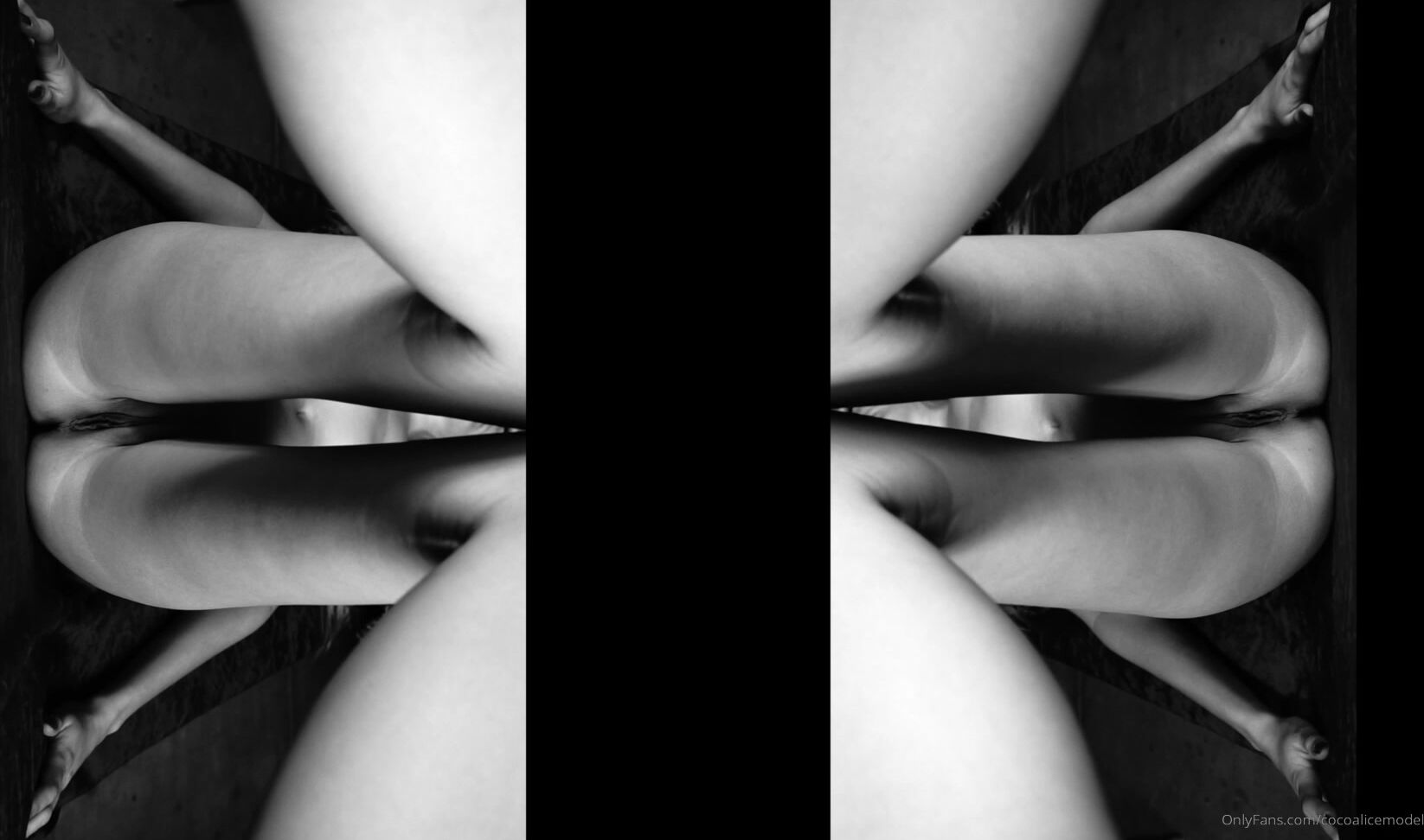 cocoalicemodel-15-10-2019-71626897