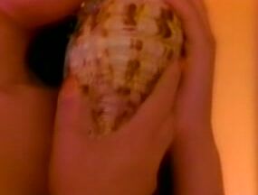 "Zara Whites, Ashlyn Gere, Danielle Rodgers, Jeanna Fine, Ashley Lauren, Nikki Wilde, Raven, Sabre, Valerie Stone, Veronica Doll, Randy Spears, Randy West, Rocco Siffredi, Sebastian" Fetish, All Sex, Artcore House of Dreams Caballero Home Video