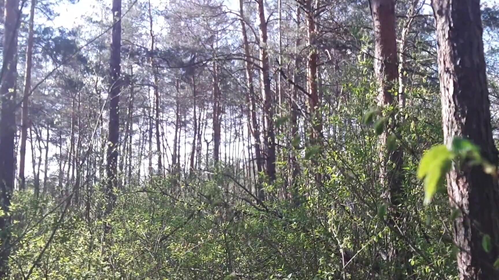 lesbian illusion Секс На Свежем Воздухе Больше Вставляет, Кончаю В Рот, Часть 2 - Lesbian_Illusion PornHubPremium