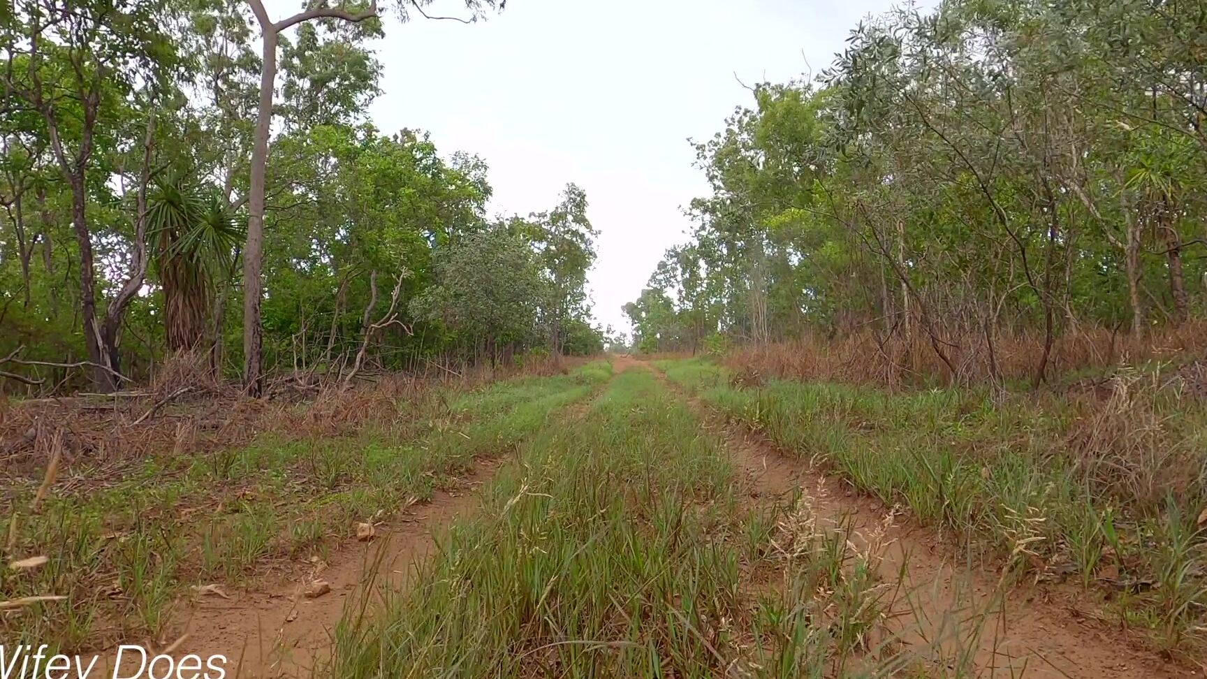 wifeydoes naughty public exhibitionist wife walks nude in the rain Pornhub