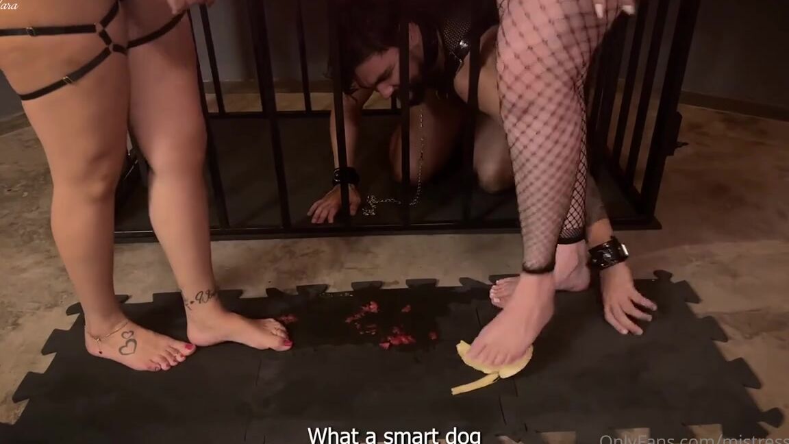 Mistressnara Onlyfans Do You Know The Best Incentive To Whet A Submissives Appetite And Make Him Eat Crushed Fruit The Hu