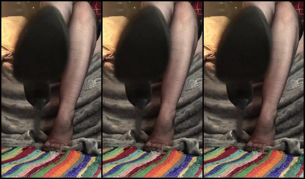 Joeyofarches Nicknamed Joeyofarches Onlyfans 10 Min Stockings Big Heels And Long Legs