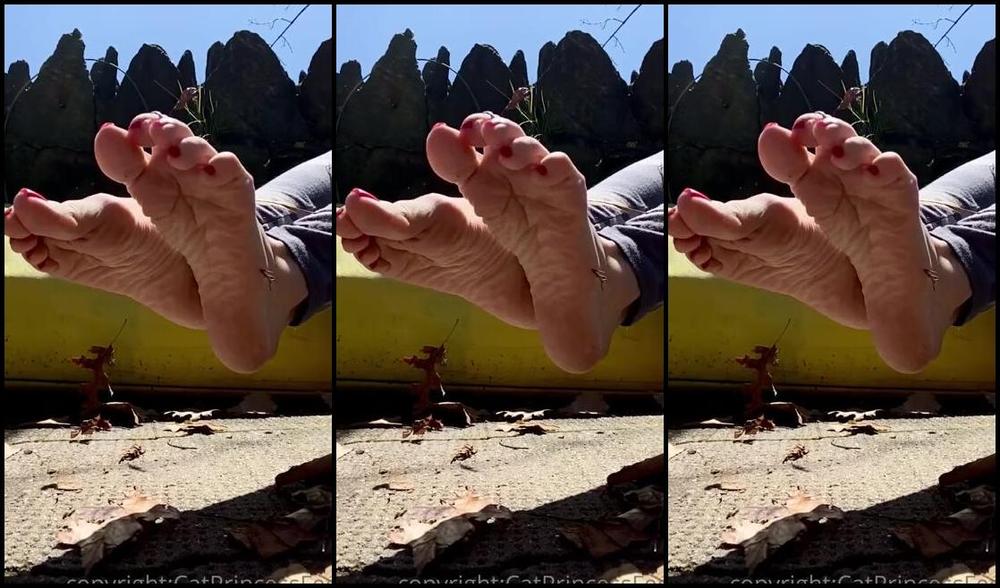 Catprincessfeet Onlyfans Falling 2