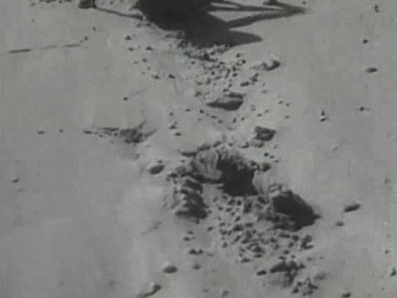 Nudist Unadorned Nudist Land_2 SiteRip