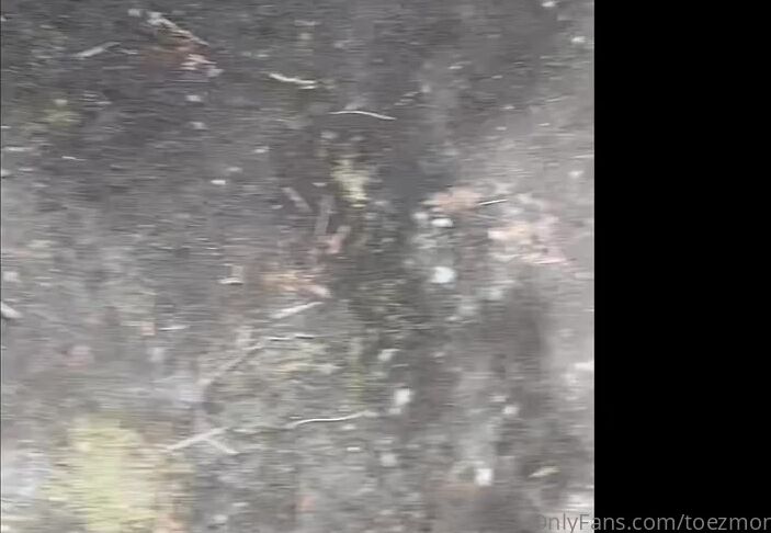 Monkey Solez Bush Wackin