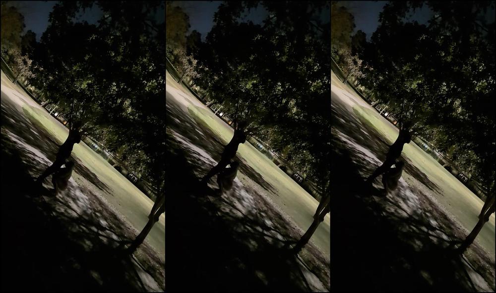 "Intangible Assets" Public Flashing, Exhibition, Exhibitionist, Exhibitionist Wife, Exhibitionism, Public, Caught Public Sex, Public Real Sex, Outdoor Public Sex, Real Public Sex, Park, Outdoor Sex, Outdoors, Interracial, Couple Outdoor, Real Couple 