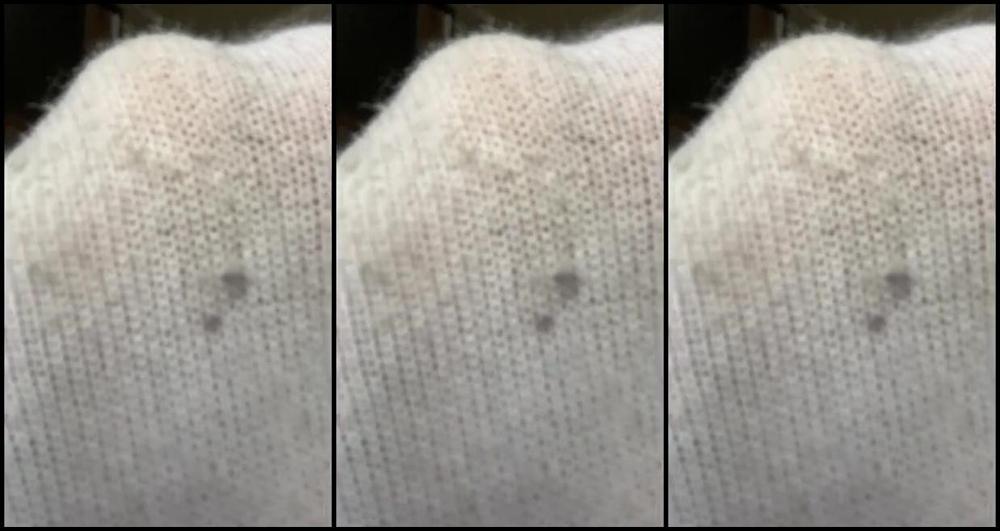 Socksfeet Misstress Nina Onlyfans 03 27 2024 Every Day I Put So Much Effort Into My Socks And Feet That They Sweat For