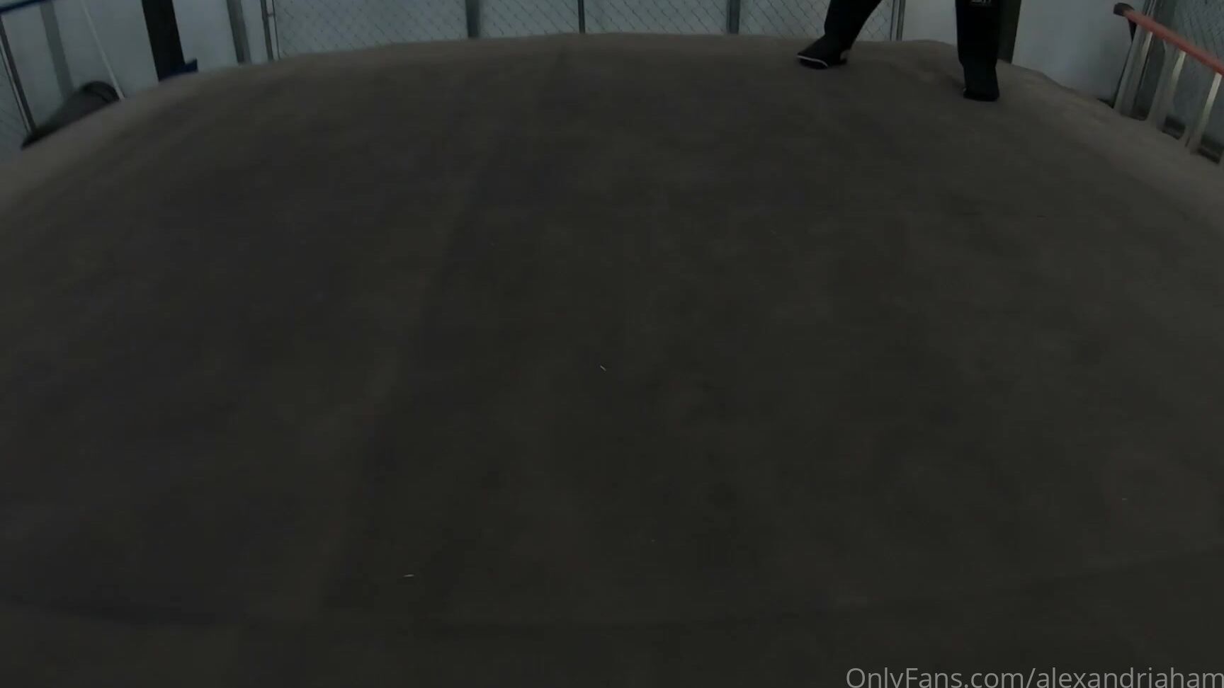 Alexandriahamilton 2496133098 06 21 2022 Here Is 6 Minutes From The Unreleased Beatdown Featuring Zodiac Queene Mauling Me 1