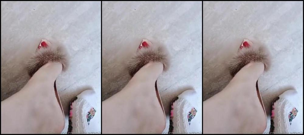 Feetvampire Nicknamed Feetvampire Onlyfans I Do Not Know What To Choose For The Next Video Help