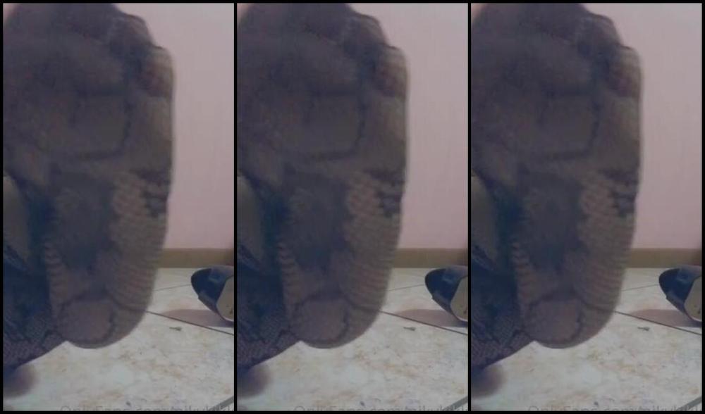 Nikykikka Nicknamed Nikykikka Foot Fetish 06 17 2022 Onlyfans Video Lazy Feet Today