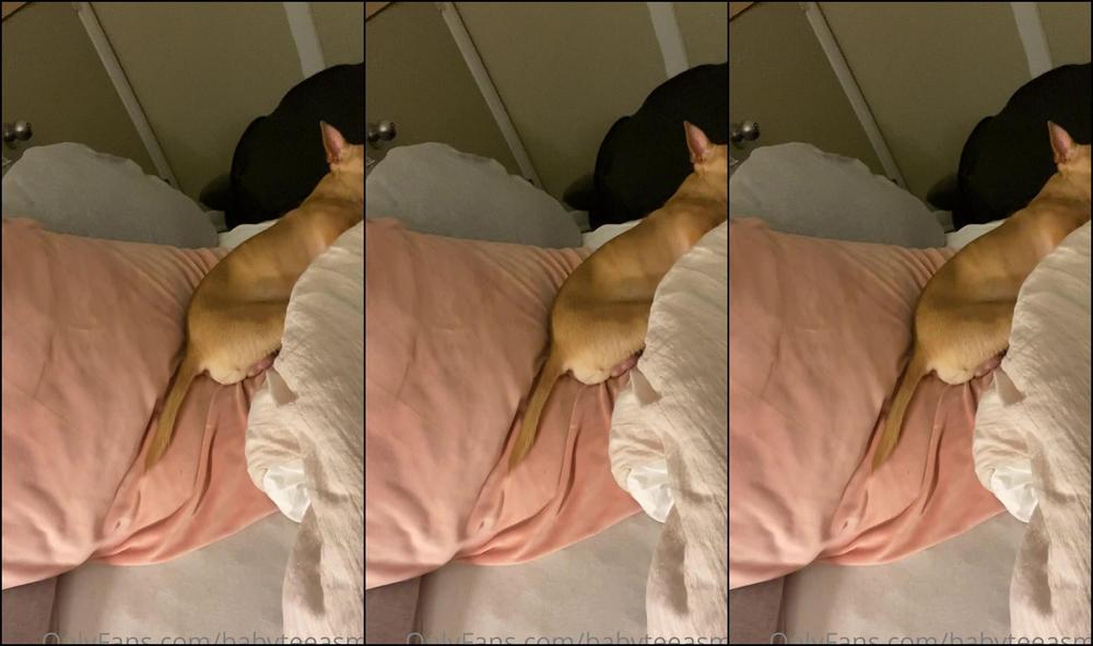 Babyteeasmr Come And Chat With Me My Soles Are