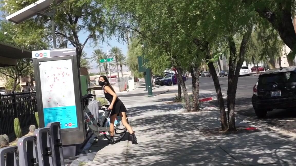 Sabelarsene Puppy Loves Going On Her Morning Bike Rides