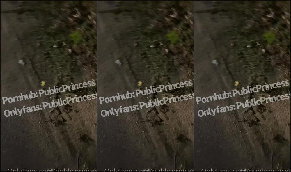Publicprincess Getting Gas Turns Into Catching A Good Nut And Showing Off In The Middle Of The Street
