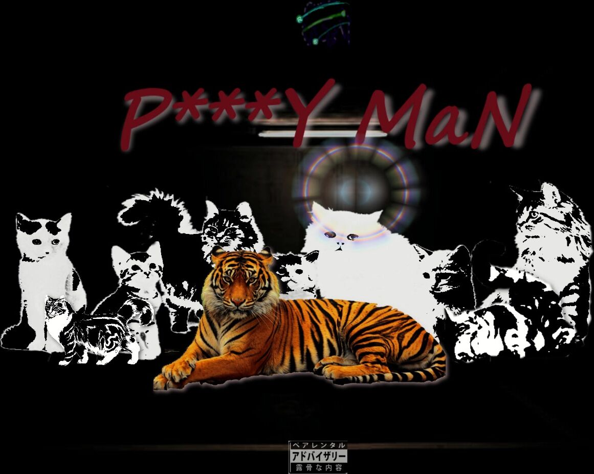 Music, Panty Fetish, Pussy Play, Webcam, Pornstars jayla inc r a b pussy man ManyVids