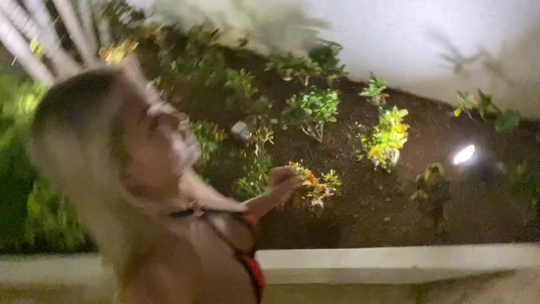 Katie Lin 2020 11 08 1216536542