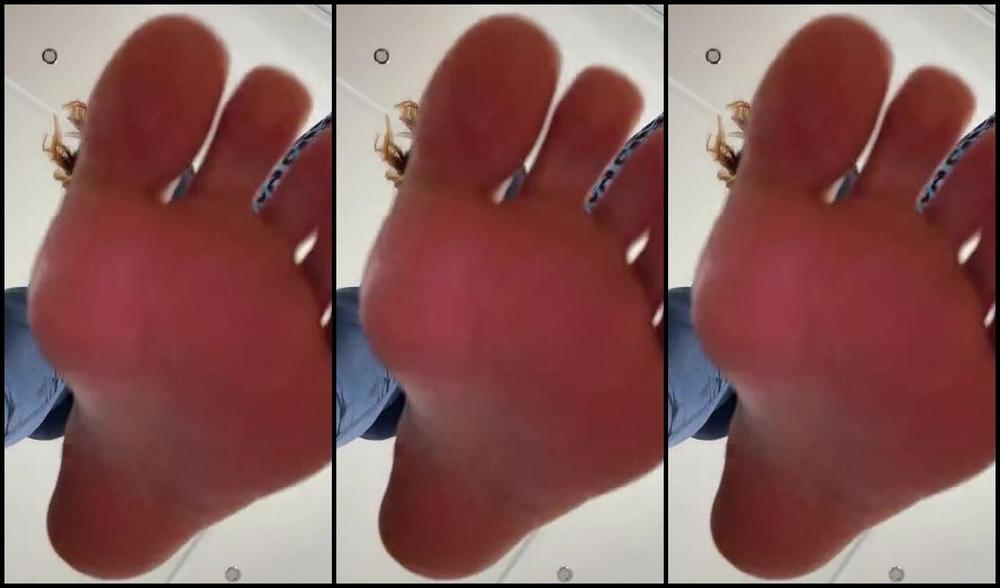 Femgoddesskira 01 30 2025 Onlyfans Video Loser Quickly Began To Clean My Dirty Feet With His Tongue