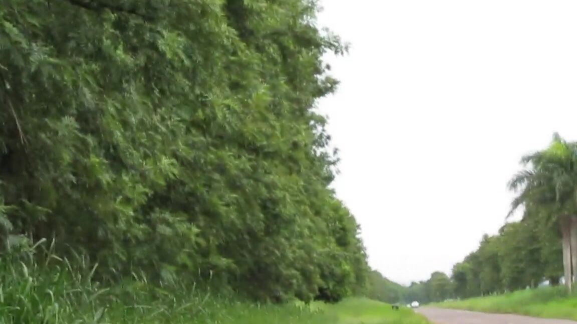 Outdoors, Public Outdoor, Public Nudity, Teens, Ass Sweet teen masturbation on the road with rain ManyVids