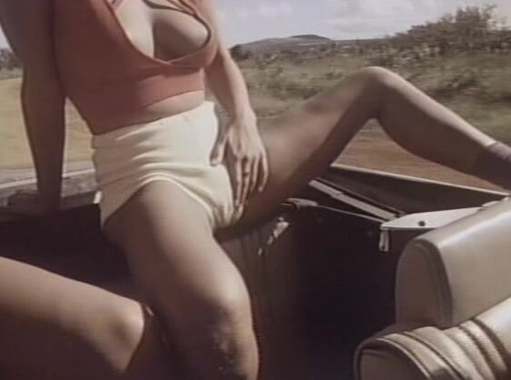 "Bunny Bleu, Ashly Britton, Ginger Lynn, Rene Tiffany, Lois Ayres, Jamie Gillis, Jerry Butler, Ron Jeremy, Jacy Allen, Deva, Crystal Holland" Feature, Couples Little Bit Of Hanky Panky Collector's Video