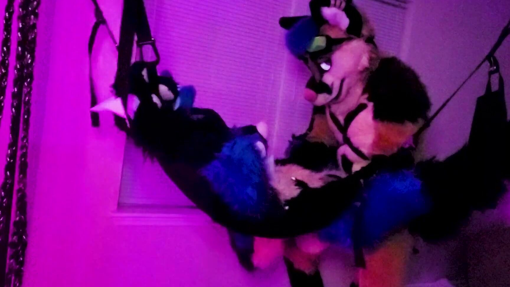 "Eurocreme" Gay Big Cock, Furry, Bareback, Pokemon, Fox, Husky, Sex Swing, Xneo, Sucario, Gay Lucario, Creampie, Breeding, Gay Fursuit, Murrsuit, Party, Mursuit, Suggest Eurocreme Xneo breed Sucario s ass bareback in a sex swing Pornhub