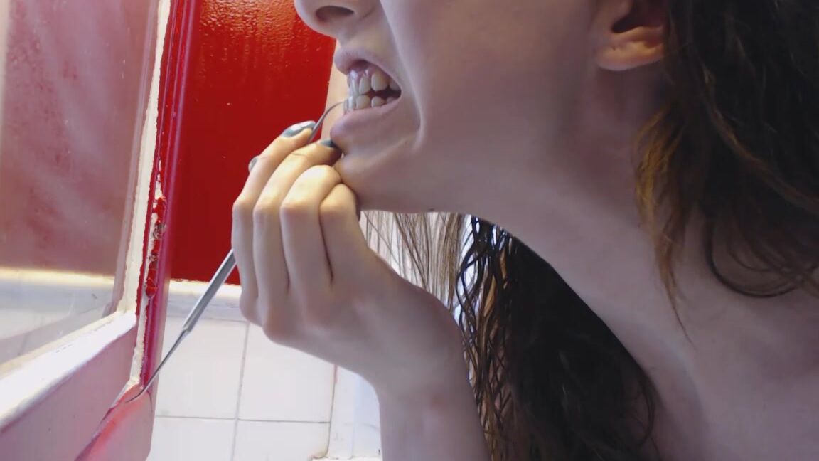 Canadiansammy Sammy Bathroom Teeth Scrape