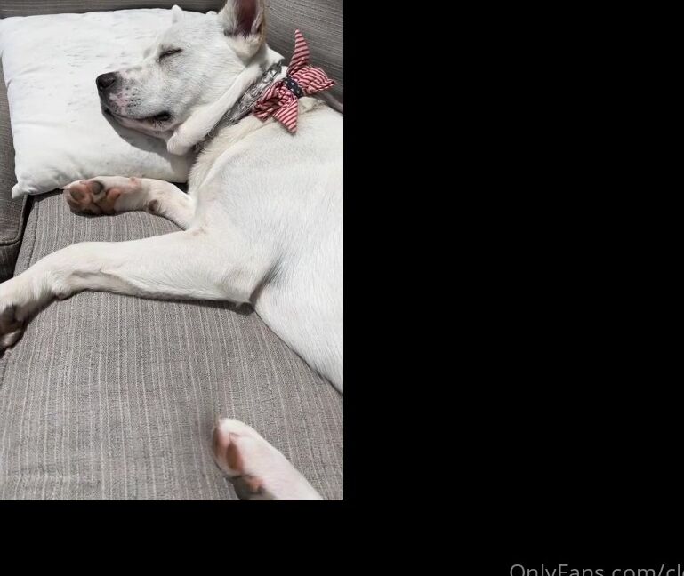 Clca69 2541946968 08 23 2022 Cooking With Christy