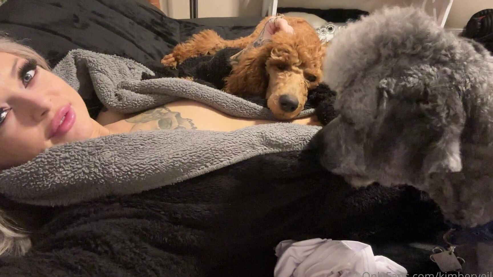 Kimberveilsplus How S Your Evening Going