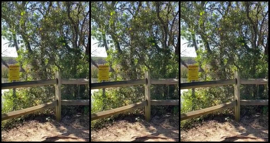 Naughtygirlaubrey Public Pussy Fun