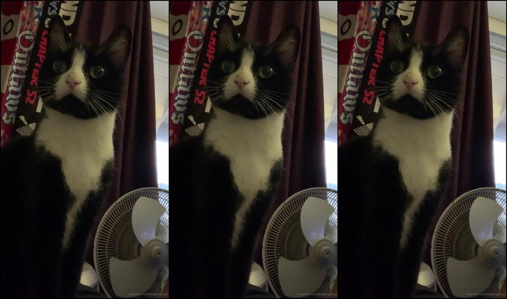 Bradknightxxx A Little Glimpse Into The Life Of A Knight Star Wars And Chicken Lol