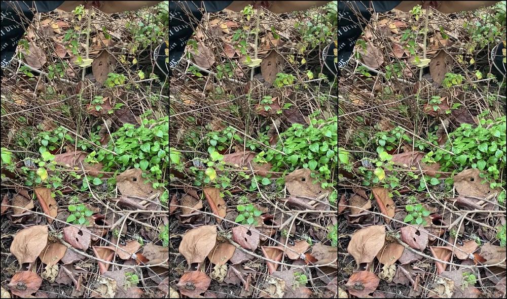 Mistress Gaia Niente Bagno Bisogna Adattarsi