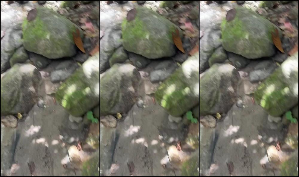 Saraboom 3408876491 07 20 2024 My Day