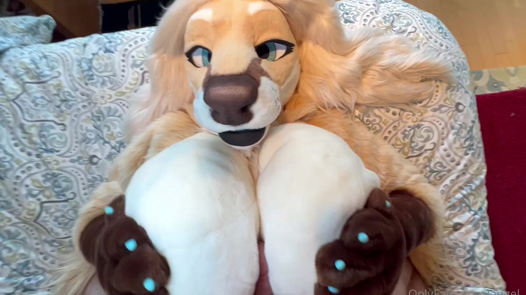 Angel Pups 686776635 01 Afc62Dba 3214 4703 Abf6 Cdbef5Dae9F9